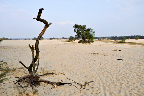 Kootwijkerzand