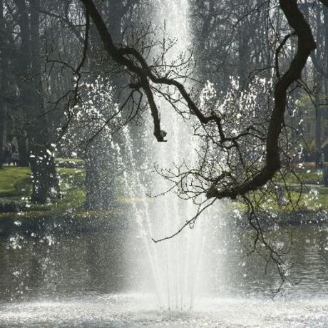 In de keukenhof