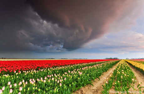 Nederlandse onweersbui