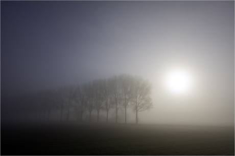 Zeeuwse mist [659]