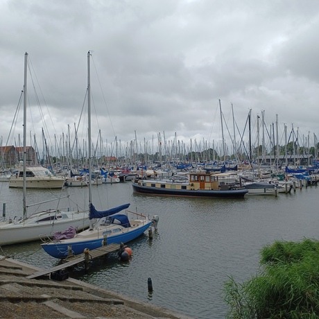 kuieren langs het Markenmeer