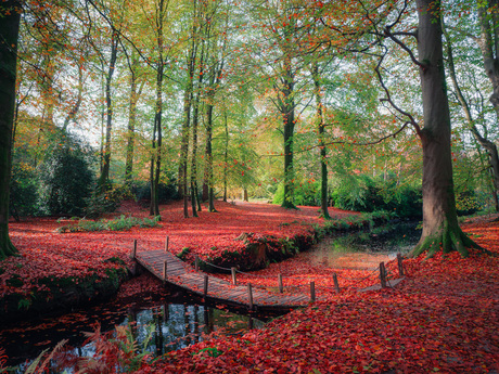 herfst brugje