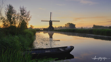 Buiten de boot is het heerlijk zwemmen (Loesje)