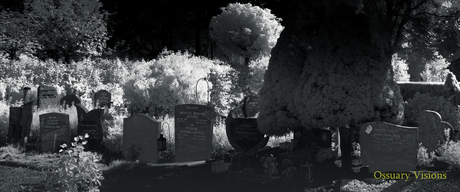 Verstilde getuigen/Ossuary Visions