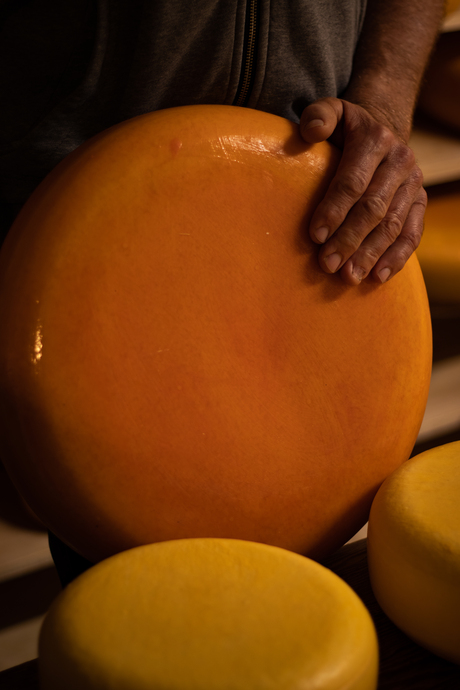 Say Cheese! - de boer en ambacht