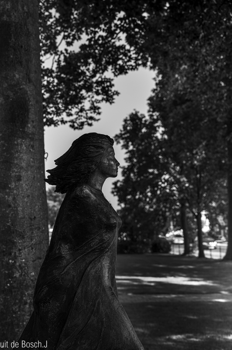 nevelhekse   Hollandscheveld 