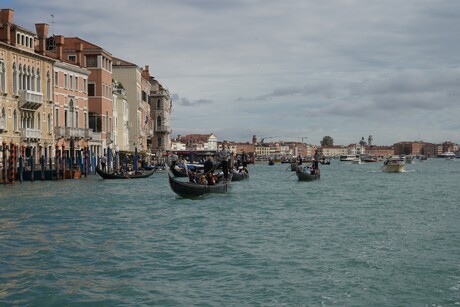 Reizen Biënnale bezoek