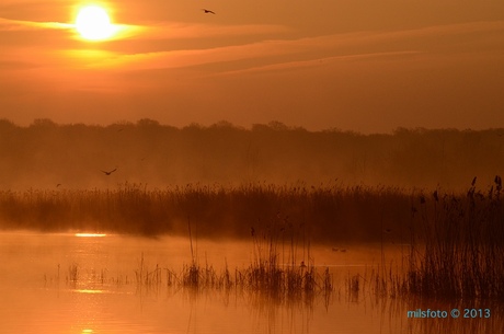 Zonsopkomst Het Vinne 1