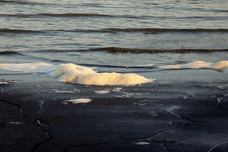 Van 2025..............