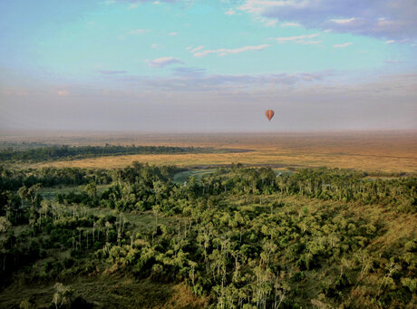 Hot air balloon