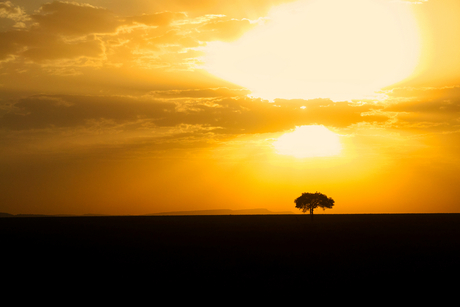 Serengeti Sunset