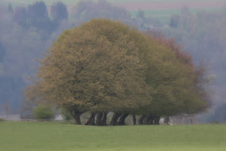 belgische ardennen