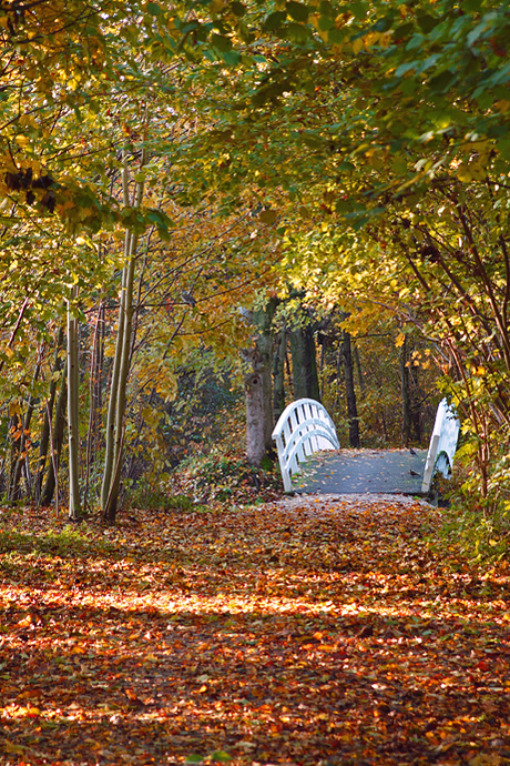 Herfst