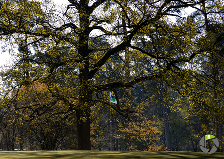 Golfvlag close up