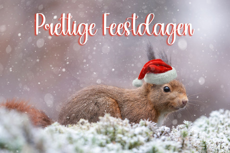 Prettige feestdagen