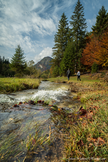 herfst Landschap