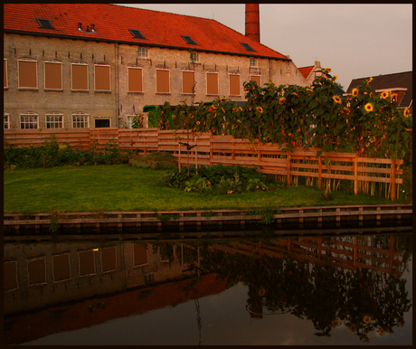 De oude fabriek