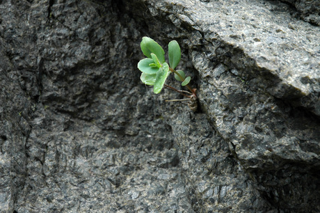 Laat de natuur maar schuiven