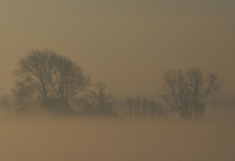 Farm in the mist