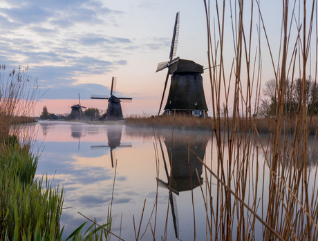 Kinderdijk be like