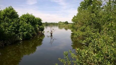 Reeuwijkse Hout