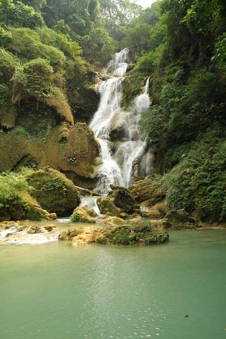 Schoonheid der natuur