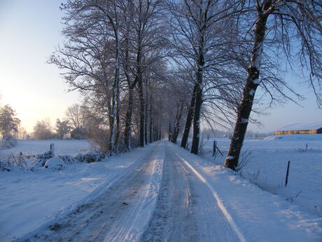 sneeuwlandschap