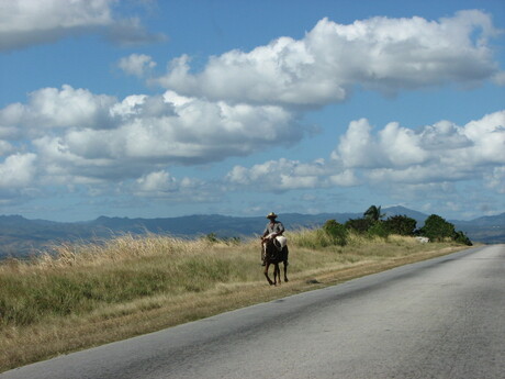 Cuban Cowboy