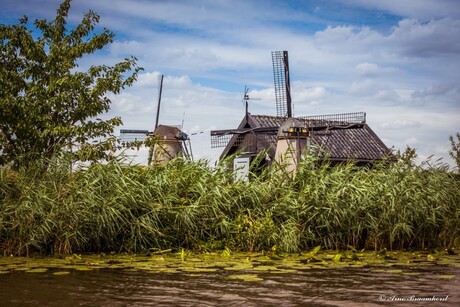 Molen Kinderdijk