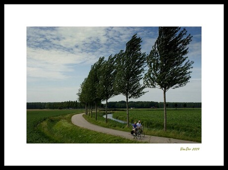 Biesbosch polder