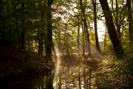 Het laatste licht