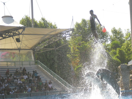 Dolfijnen show in Lissabon