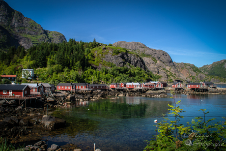 Nusfjord, Lofoten