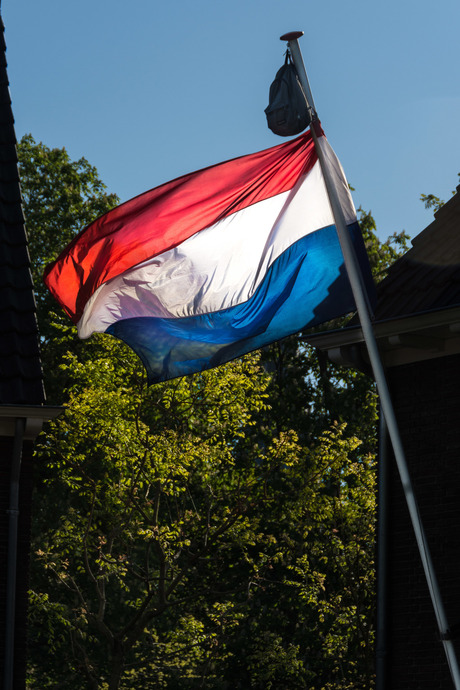 Nederlandse vlag