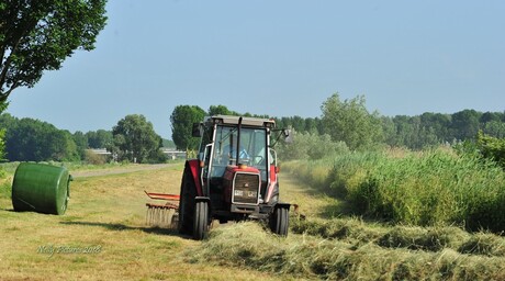 Zomerwerk II