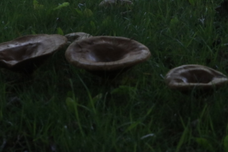 Herfst is weer begonnen