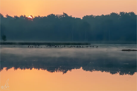 Leersumse veld 