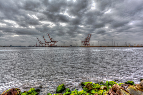 containerhaven amsterdam