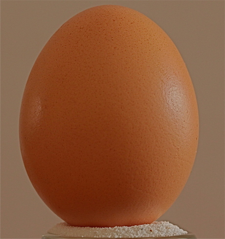 Het Ei