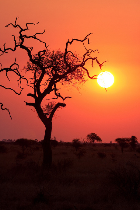 Sunset over Kruger