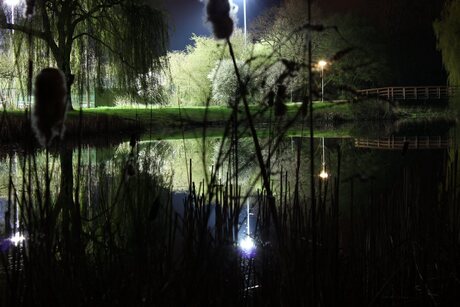 Het Park in de avond