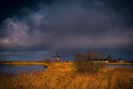 Molen in de polder 