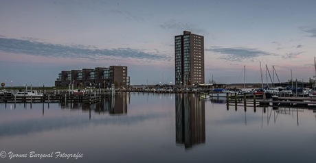 Blauwe uurtje in de haven