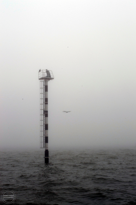 Misty Sea