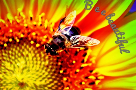 Bee beautiful