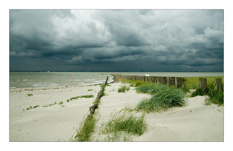 Aan de Schelde.....