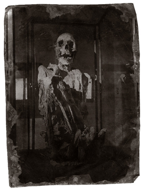 mummie Koninklijk museum Brussel