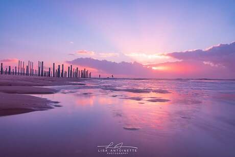 Strand Petten.