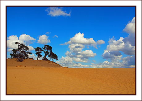 kootwijkerzand