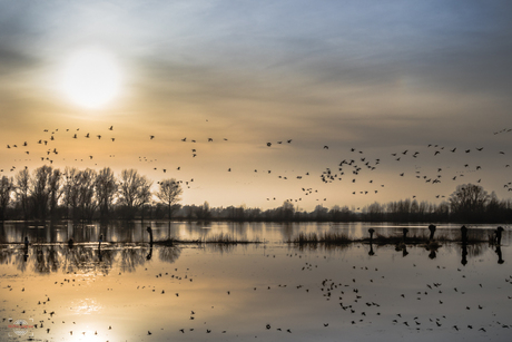 Zon aan de horizon bij Fortmond